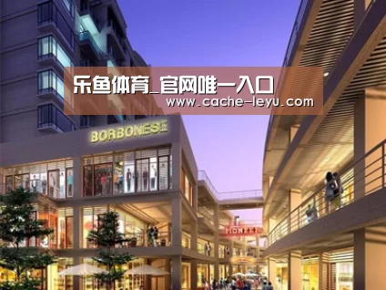 案例展示一