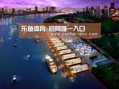 案例展示八