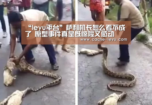 “leyu平台”萨利机长怎么看不成了 原型事件真是既惊险又感动(图3) leyu体育