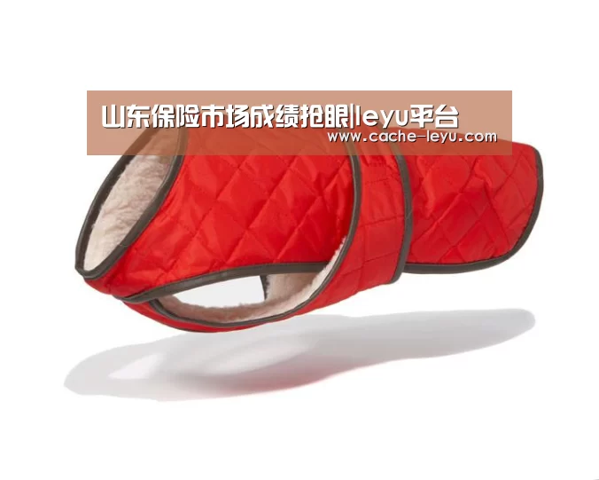 乐鱼登录