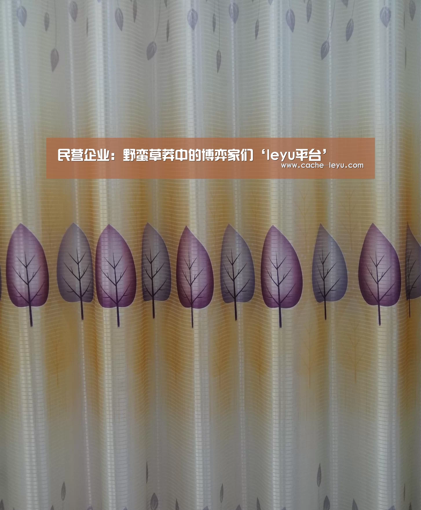 乐鱼体育官网
