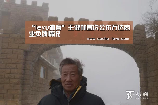 “leyu体育”王健林首次公布万达商业负债情况(图2) 乐鱼登录