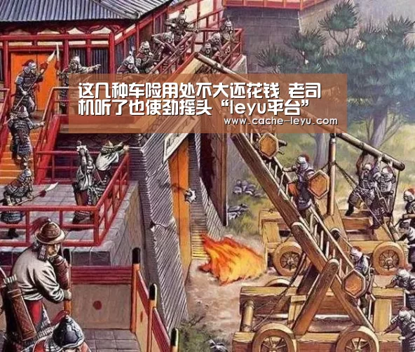 这几种车险用处不大还花钱 老司机听了也使劲摇头“leyu平台”(图1) leyu体育